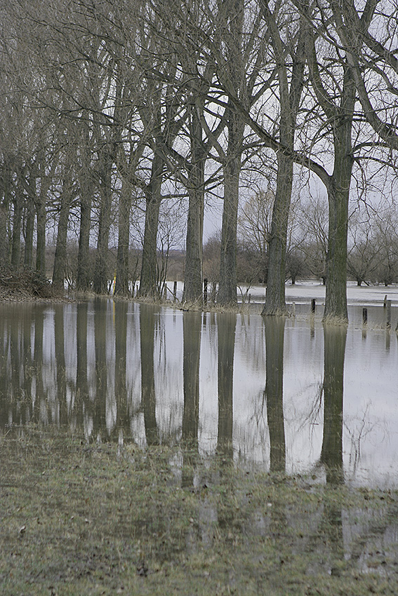 Klaus Madlowski Kunst