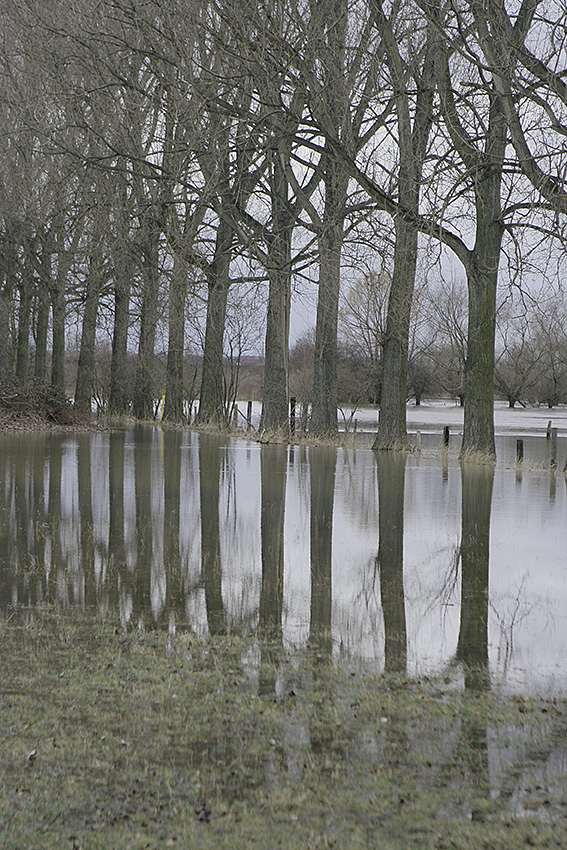 Klaus Madlowski Kunst